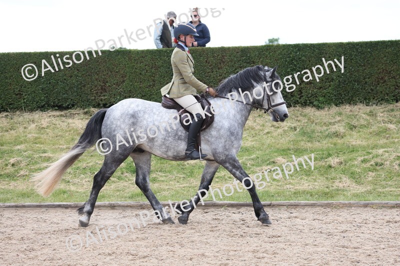 20250524-1352 - Class 16 - Hunter and Cob