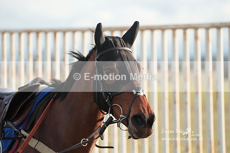 PtP 290123 308811 - Heythrop Hunt PtP Cocklebarrow 29/01/2023