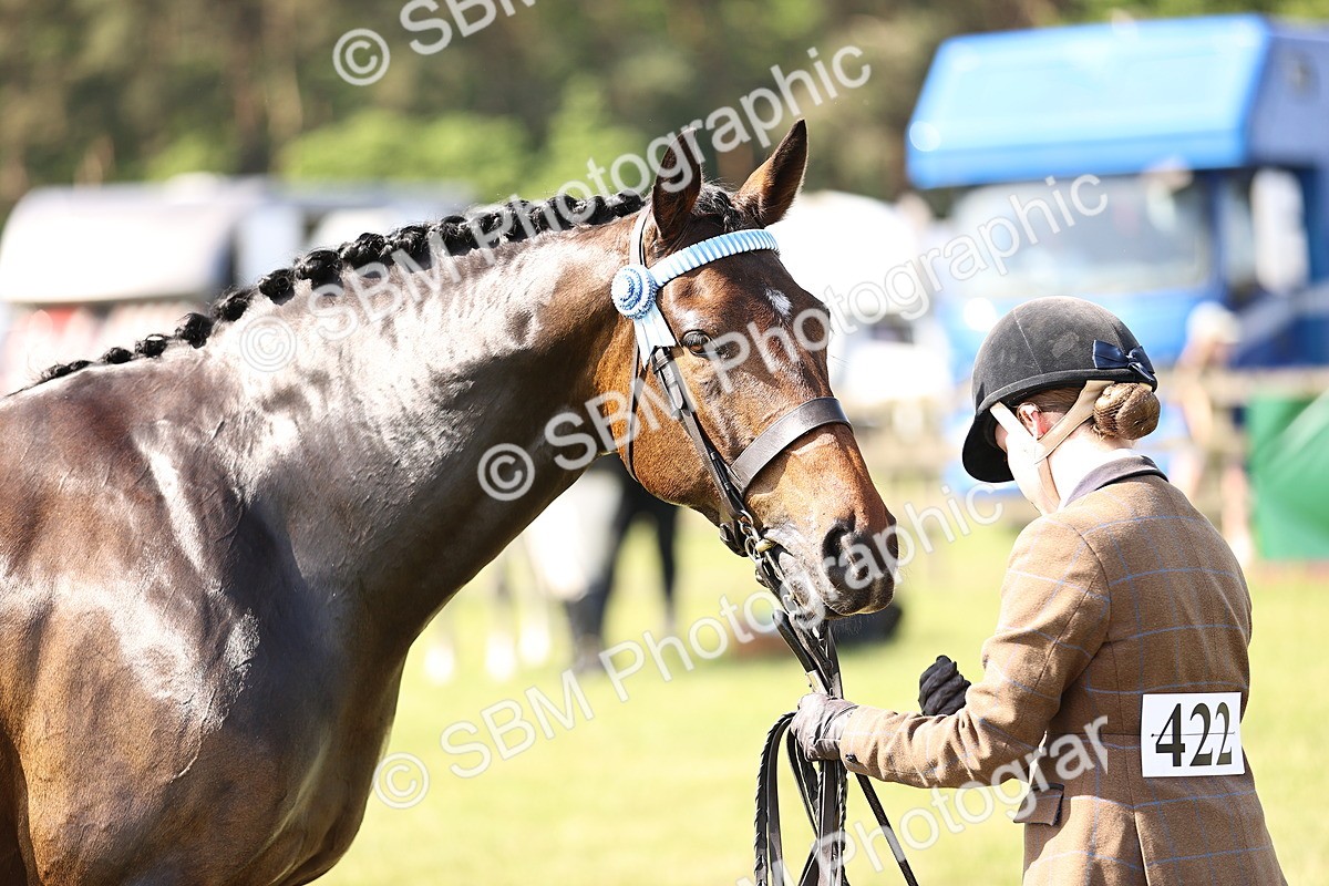 SBM_12936 - Class 75-76 LIHS BSHA Rising Star Hack Riding Horse