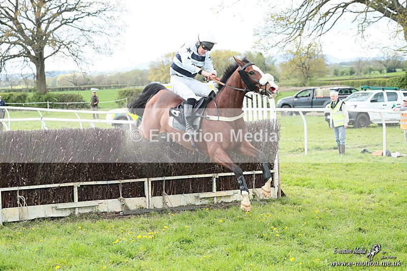 PtP 180426 556 - Worcestershire Hunt PtP Chaddesley Corbett 18/04/26