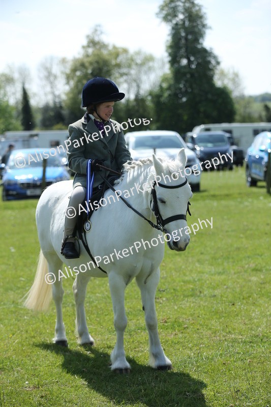 20250427-2784 - Class 6 - Pony Judge Would Most Like To Take Home