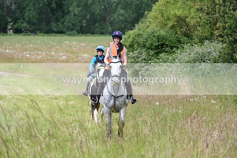 WJ6_8105 - Camera 1 Gallops