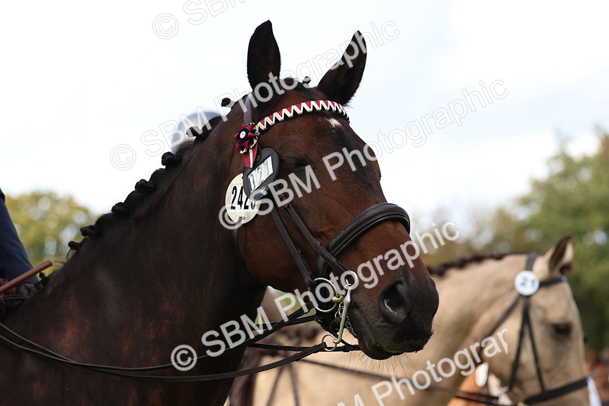 SBM_47706 - S28 - Veteran Ridden