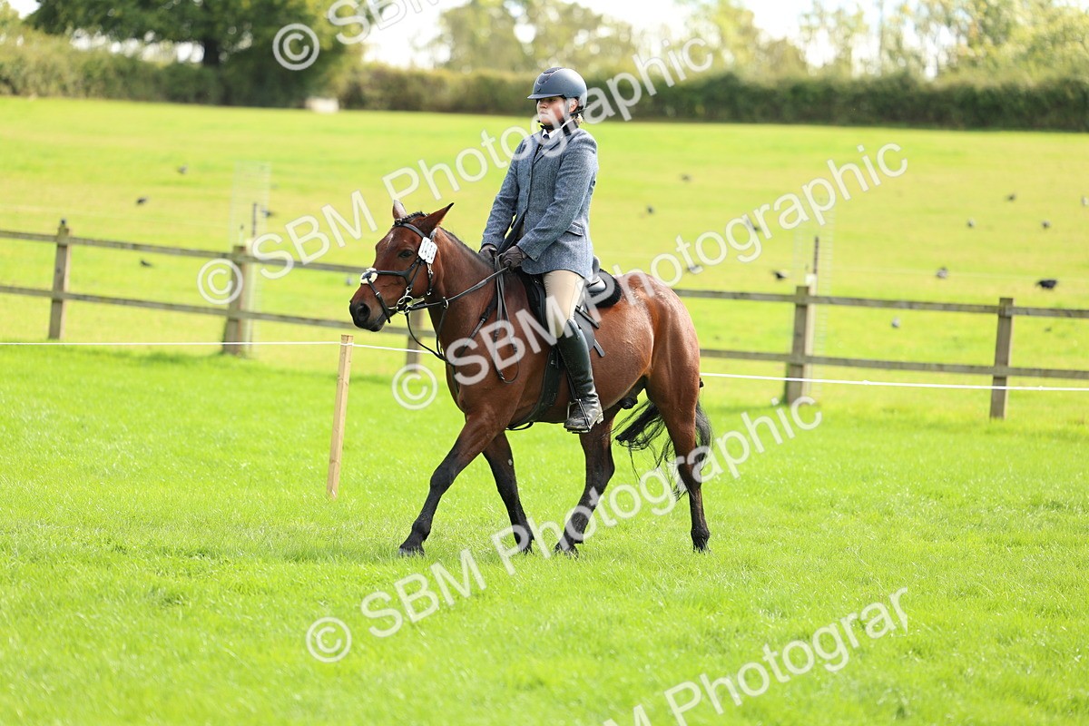 SBM_45407 - S33 - Working Hunter Pony