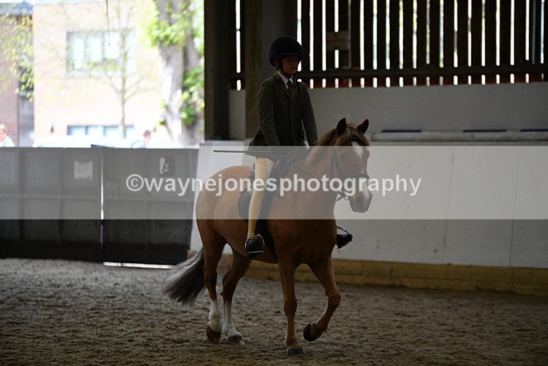 WJ5_6228 - Class 9 Ridden Veteran