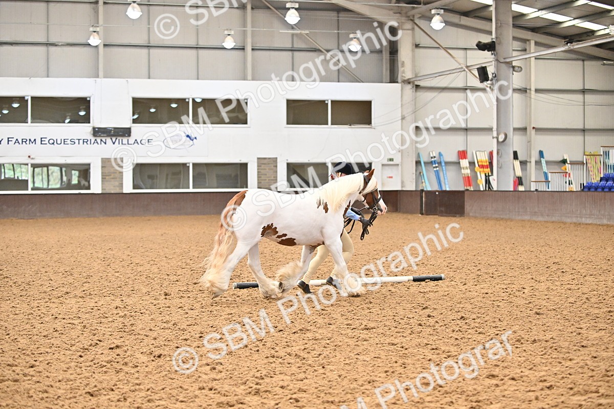 SBM_000276 - Class 10 - In Hand Coloured & Odd Coloured