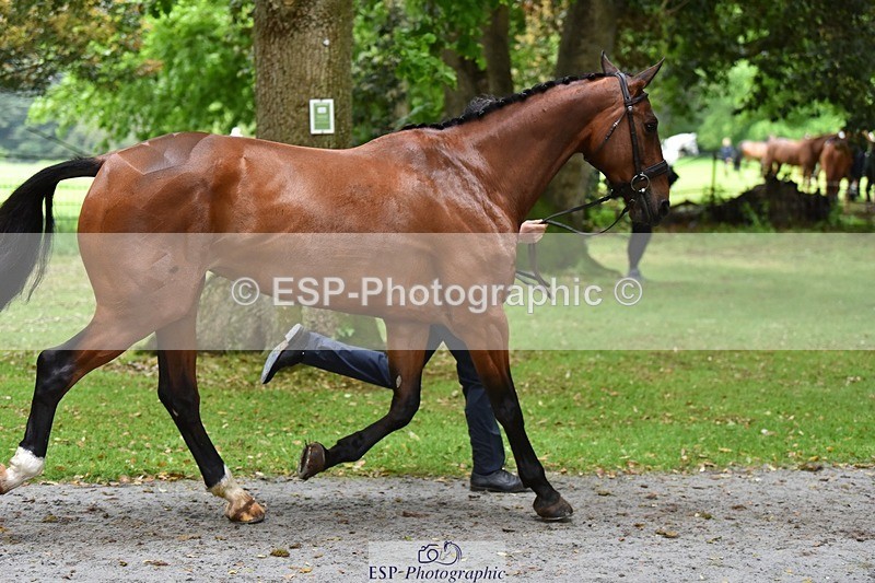 240522-163526-01031 - 213-GLOBAL_KARINA-Hector_Payne