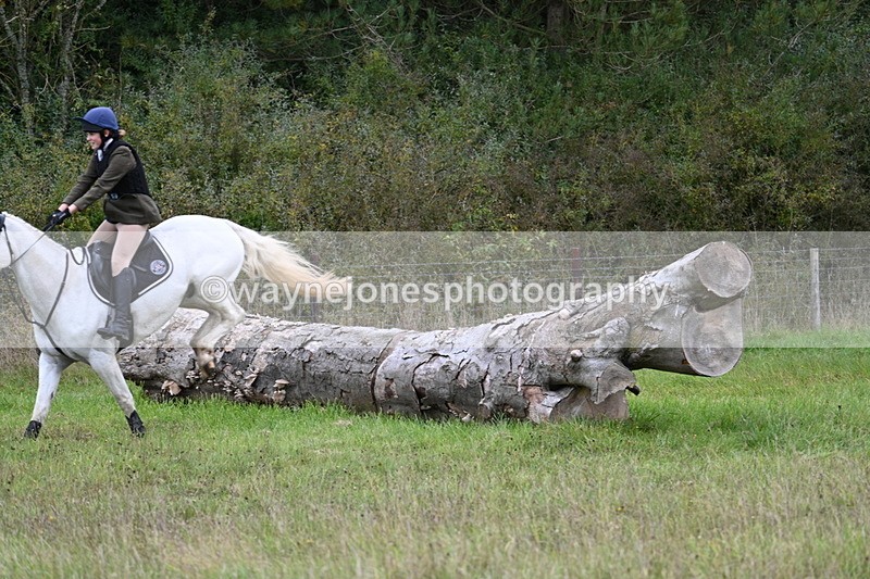 WJ7_3917 - Camera 1 Line 1