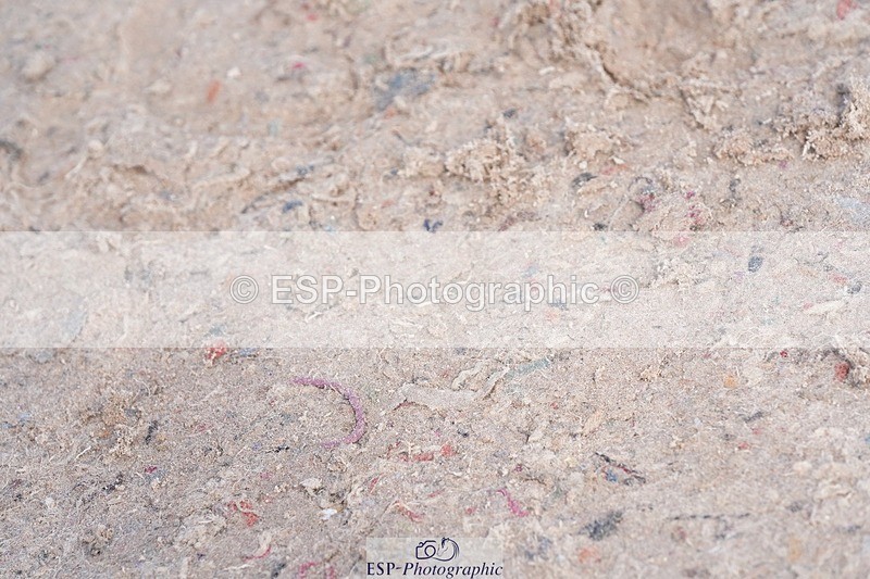 250425-155330-10344 - Cls 18 - 1 Star Silver Tour