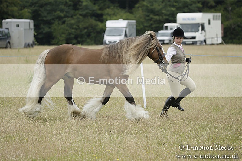 B230619-0730 - Bourne Valley Riding Club Summer Show 23/06/19