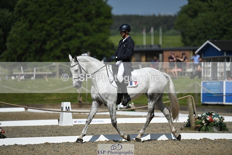 230525-103657-01749 - 314-CHANTILLY_AMATULLAH-Gaspard_Maksud-WEDTrotUp+DR