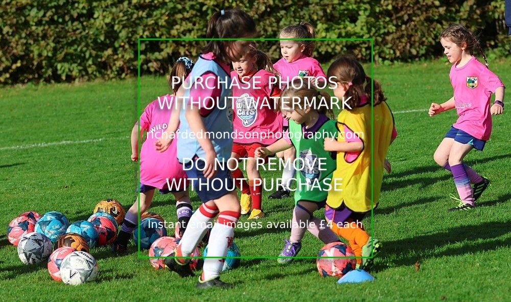 533A7038 - Kendal Utd Wildcats (11/10/25)