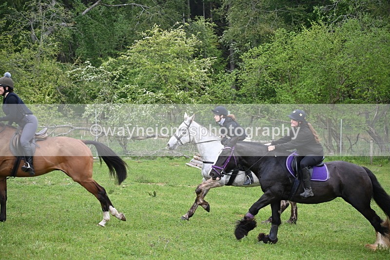 WJ6_2487 - A Camera