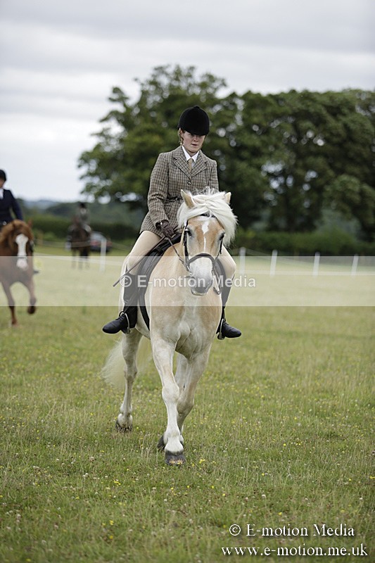 BVR160717-1522 - Ring 1 BVRC Show 16/07/17