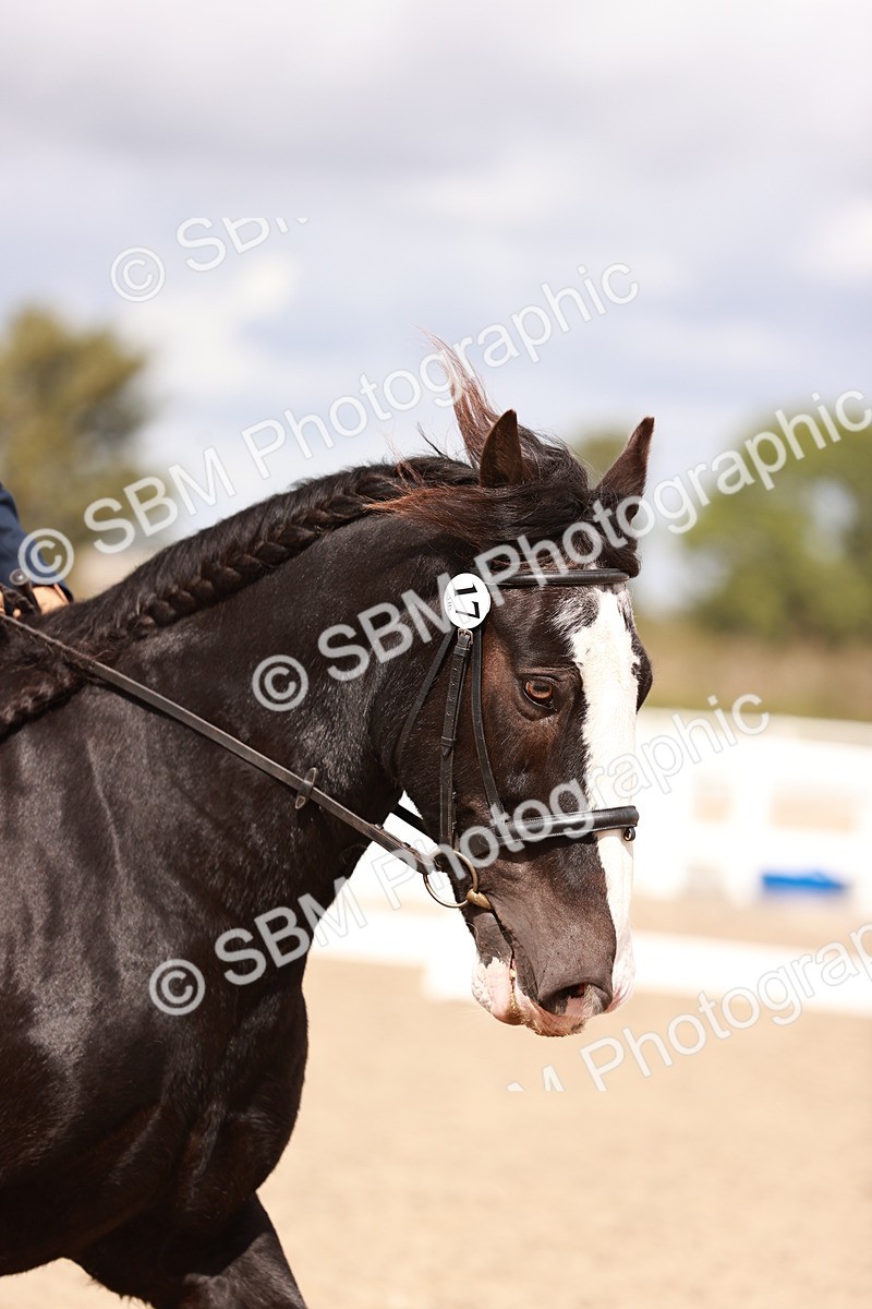 SBM_06211 - Class 37 - Novice 5