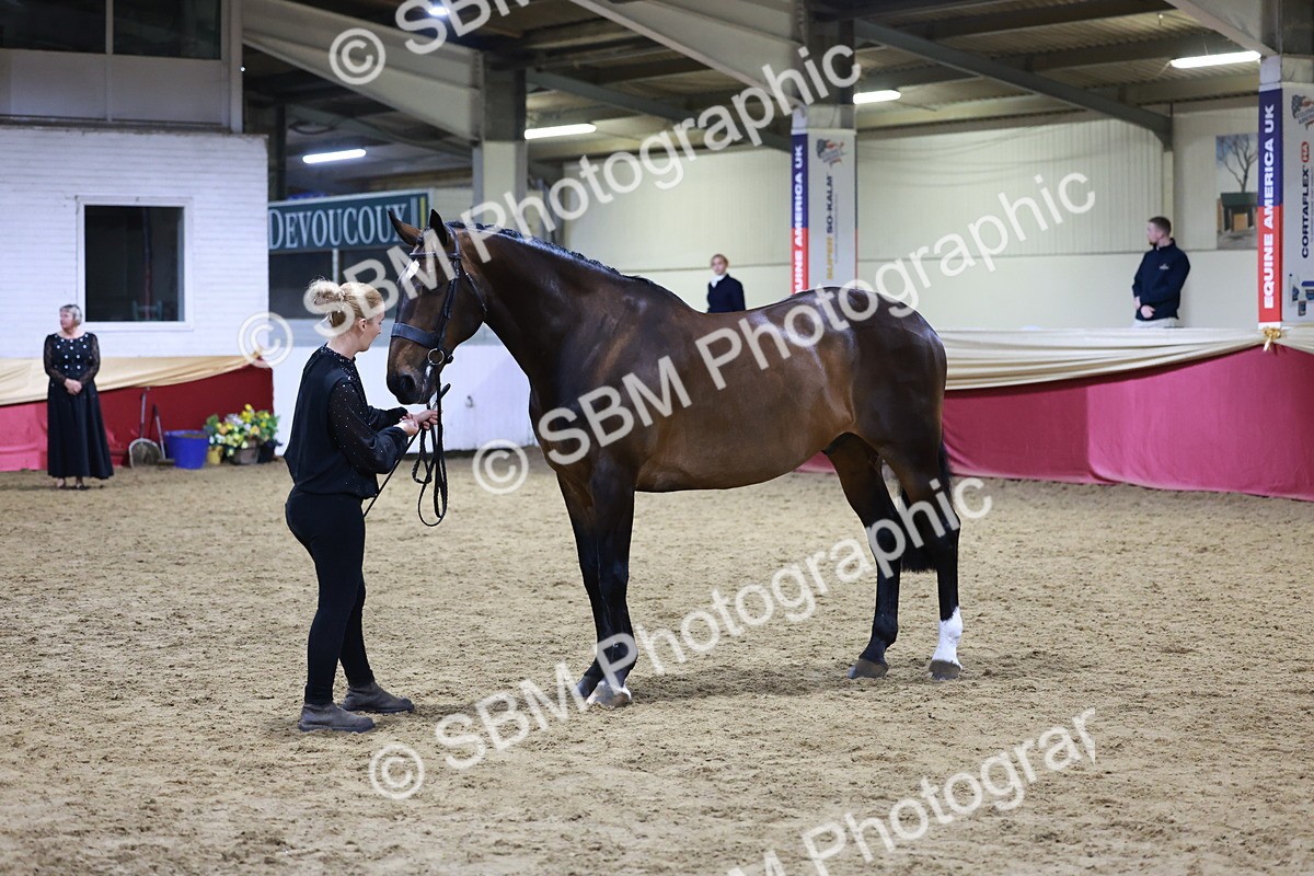 SBM_21226 - Class R - Veteran Champ