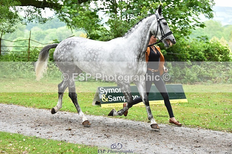 240522-172726-01623 - 287-HEY_DIXIE-Sammy_Harfield