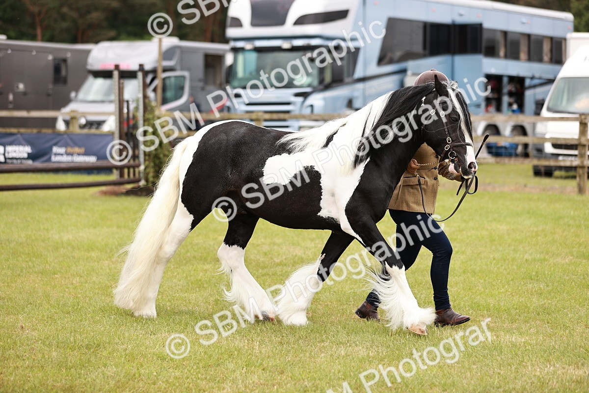 SBM_04565 - Class 5-8 - BSPA In hand