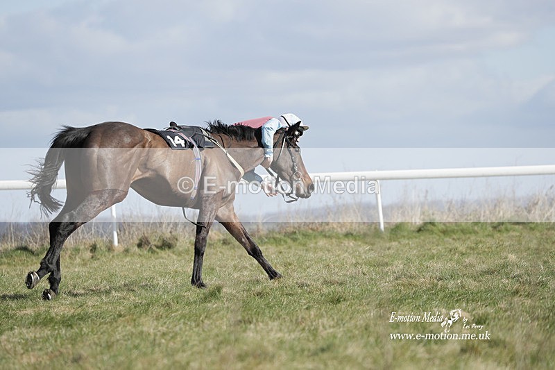 PtP 260223 501 - South & West Wilts Point-to-Point Larkhill 26/02/23