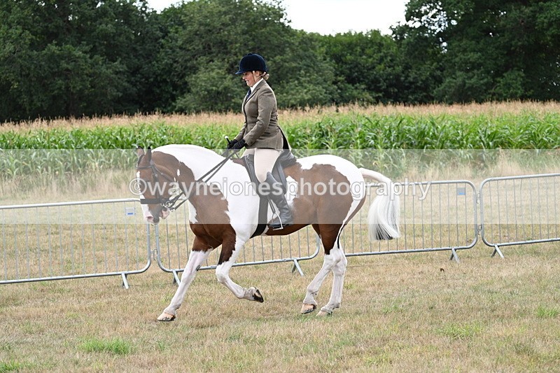WJ7_5098 - Class 12 Ridden Cob