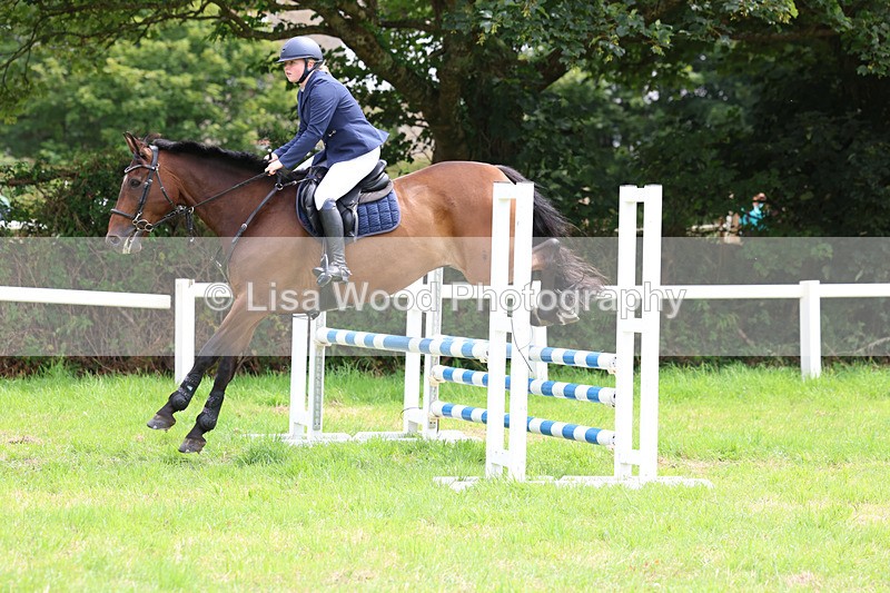 3E7A7369 - Class 5: Senior British Novice/90cm open