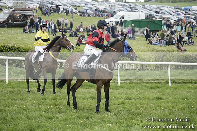 PtP 170417 489 - Old Berks Point-to-Point Lockinge 17/04/17