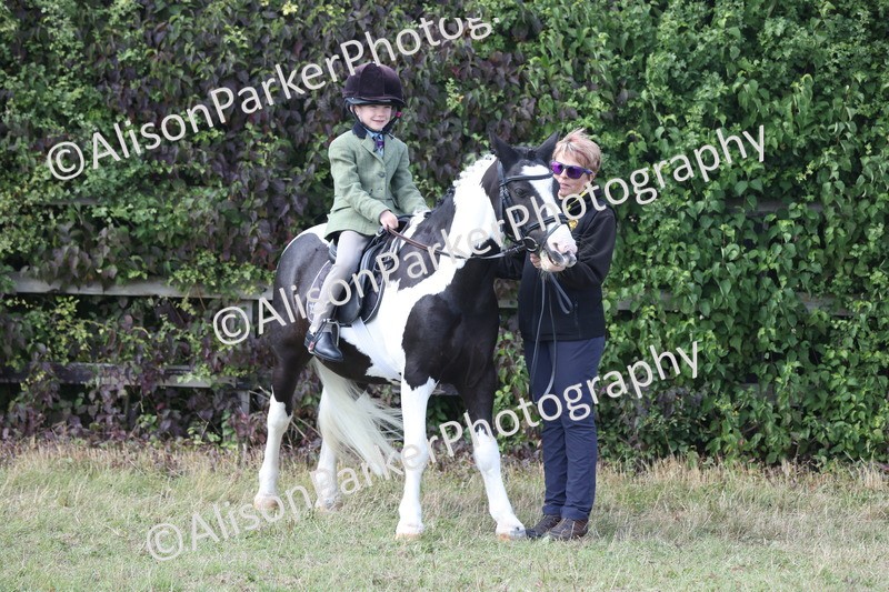 20250831-2733 - Class 17 - Lead Rein Pony
