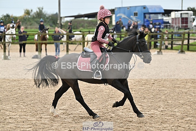 241110-121342-00632 - 50-55cm Arena Eventing