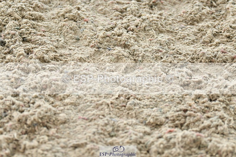 230721A-120853-06012 - Cls 18, 1 Star Silver 1.20m