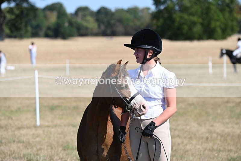 WJ6_7580 - Class 34 Judges Choice