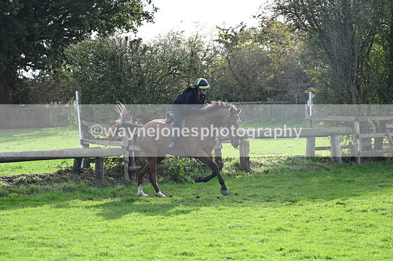 WJ7_0944 - Time 14:27 to 15:11