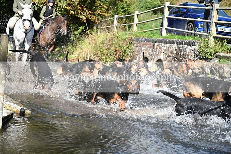 WJ7_5977 - Hounds Water Crossing