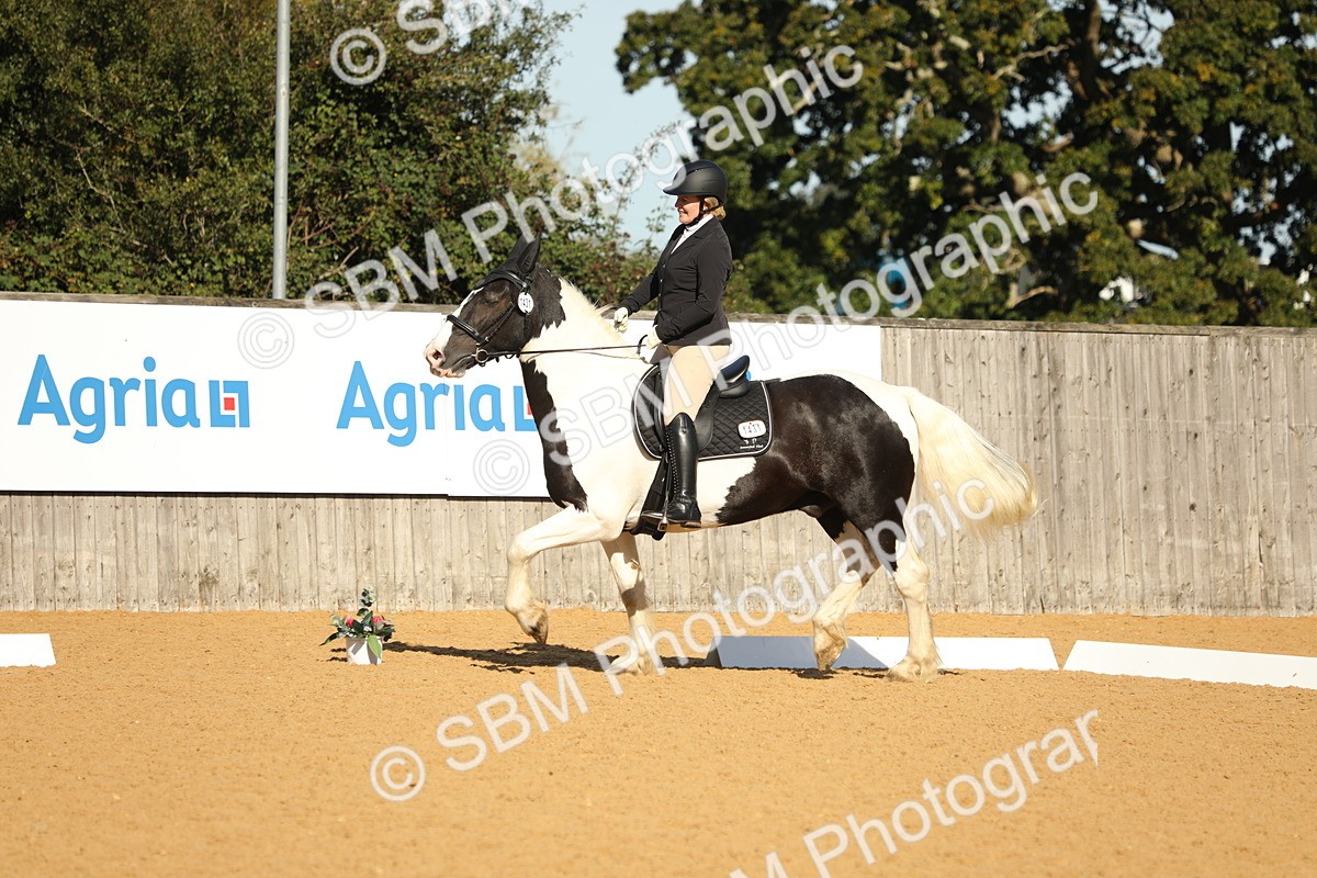 SBM_16560 - D10 - Small Tour Championship - Prelim 2