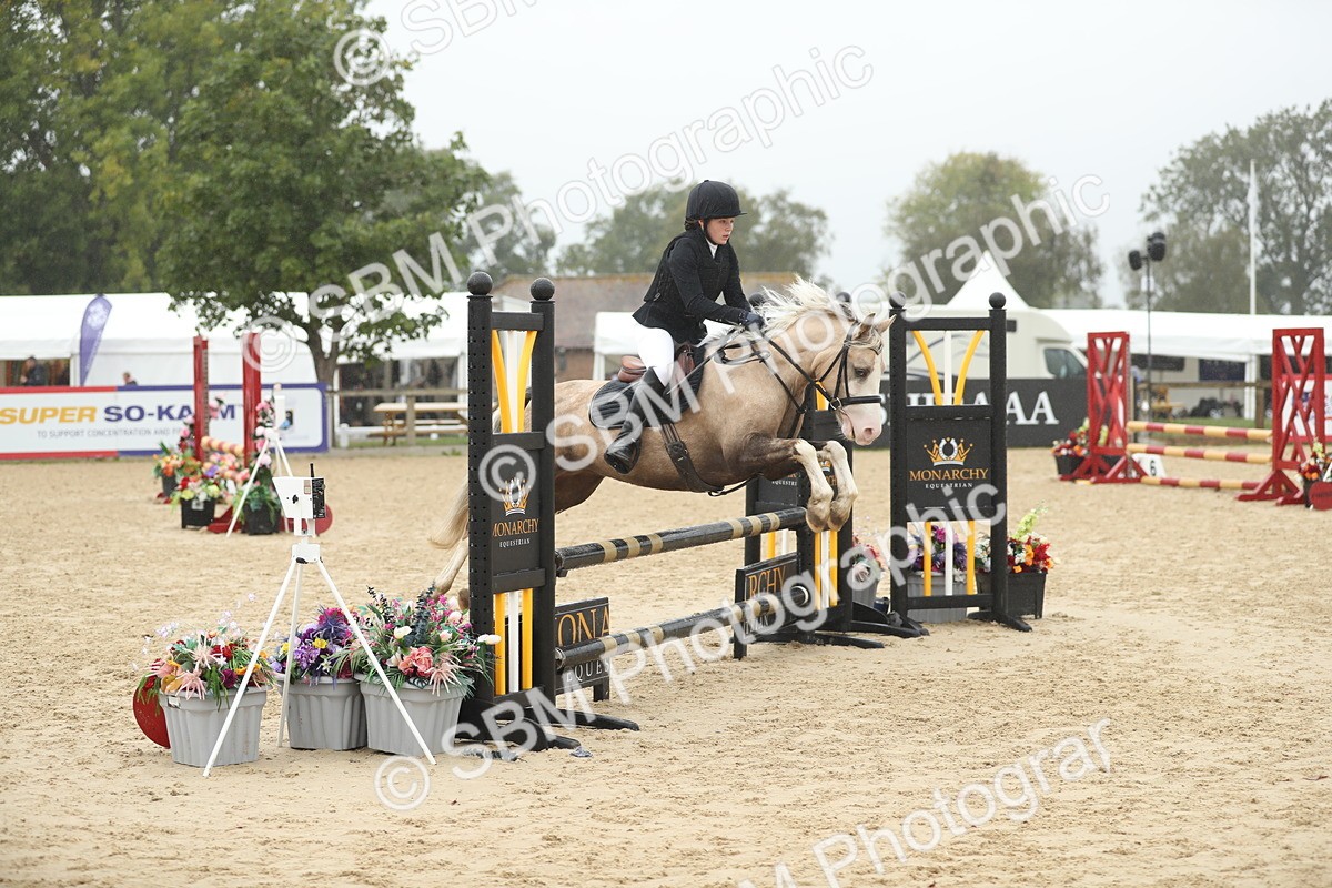 SBM_73821 - J16 - Junior Pony 75cm Championship