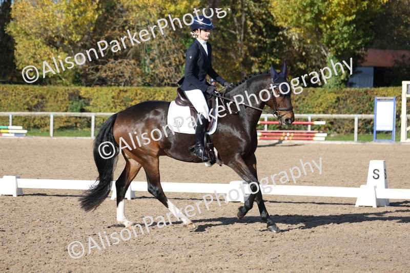 20251102-0740 - Class 4 - Novice 6