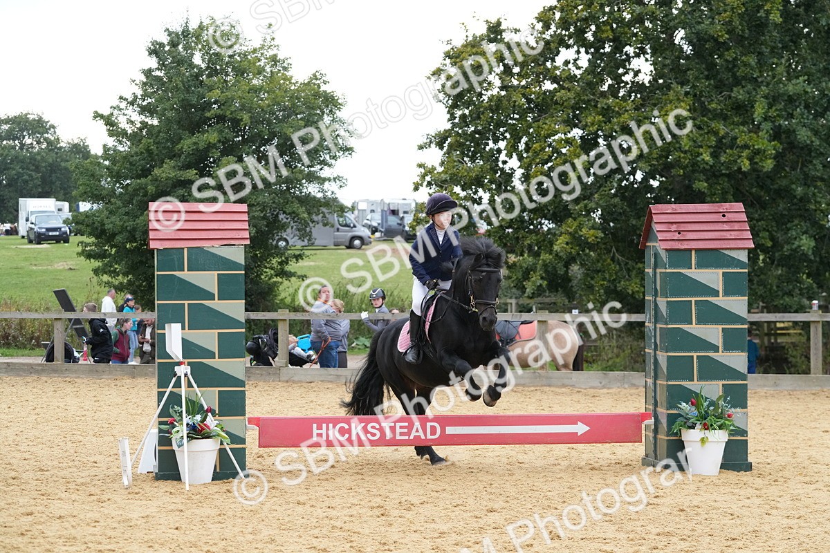 SBM_74559 - J4 - Mini Tour Junior Pony 45cm Championship