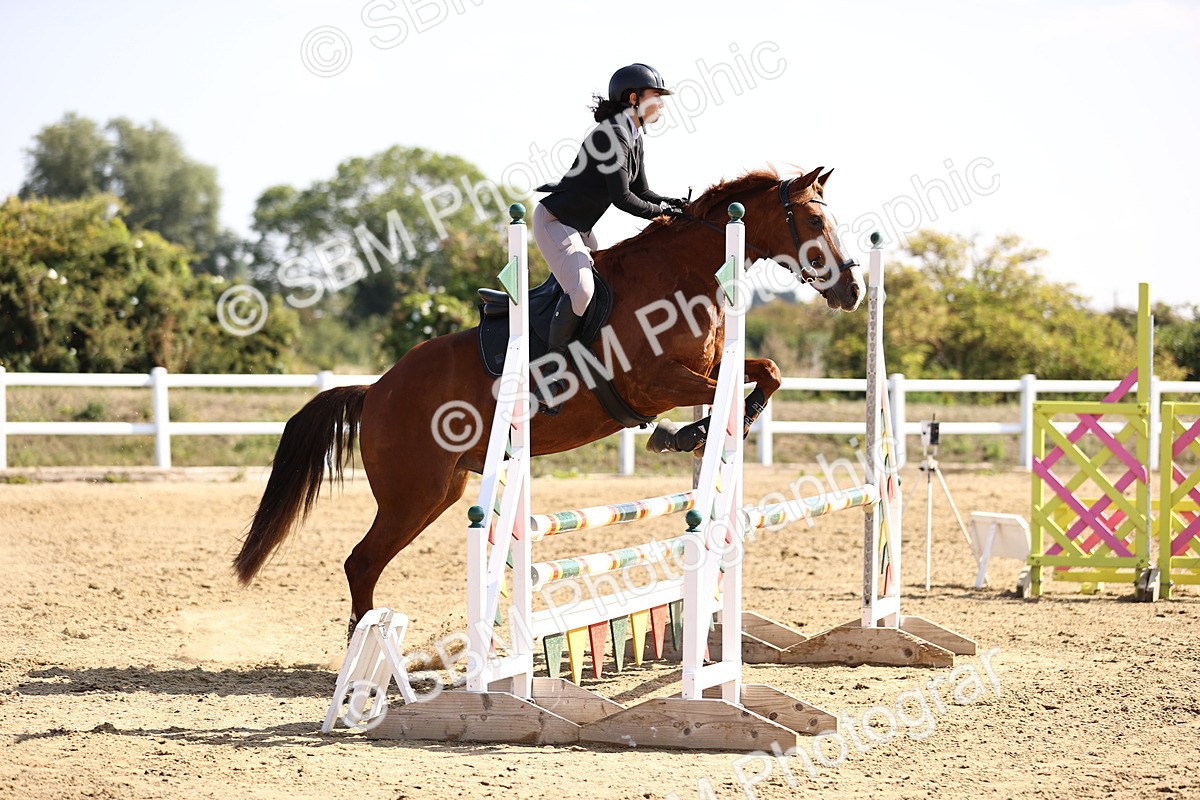 SBM_005755 - Class 9 - Senior British Novice - 90cm