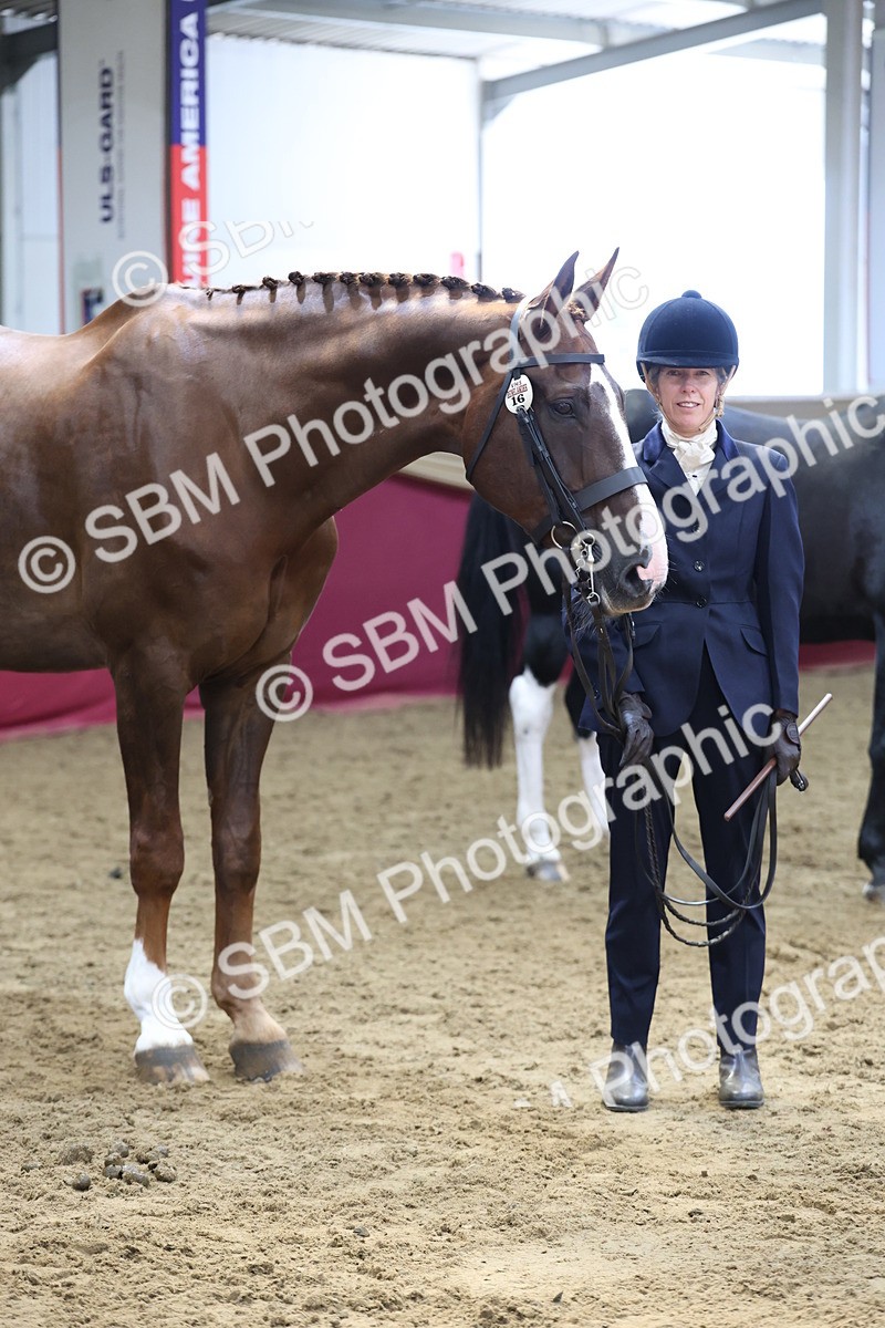 SBM_23347 - Class 903 - Supreme Final - IH Pre Vet