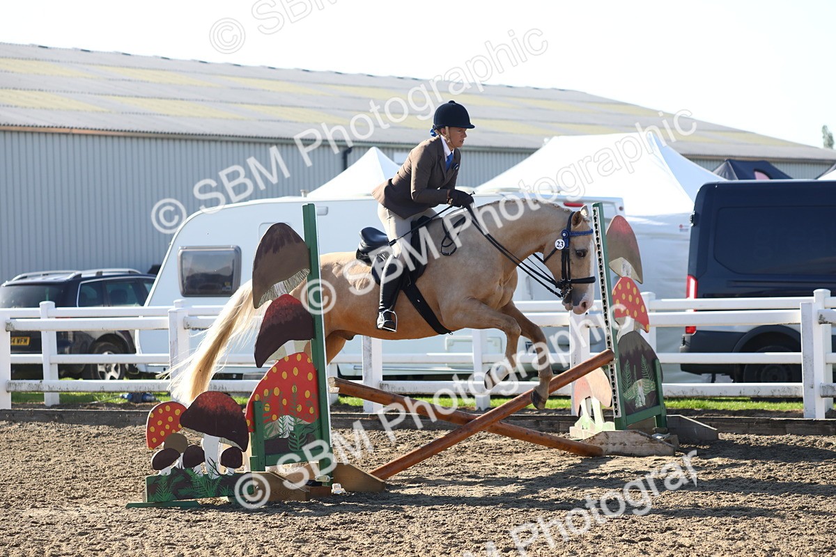 SBM_08587 - Class 502 - Riding Club Horse
