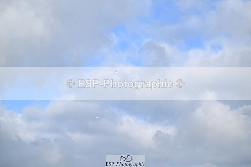 260110-125336-00474 - 90cm