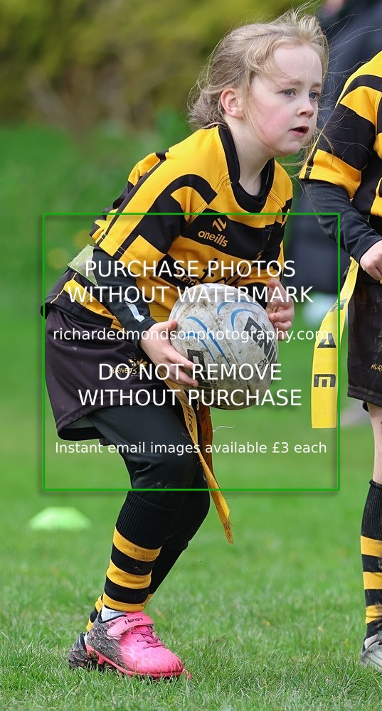 533A5362 - Kendal Rugby Mini & Youth (Sunday 12/4/26)