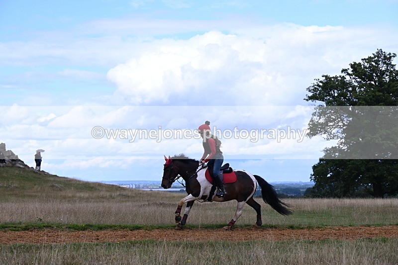 DSC_9706 - Time at Statue 15:11 to 15:58