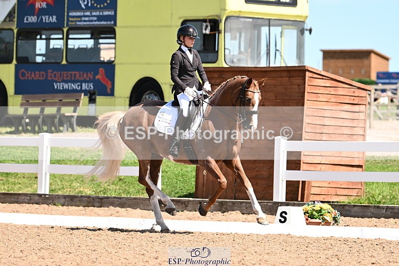 240816A-132003-05026 - 113-Ruby.Gumbley-Nova's.Golden.Dream