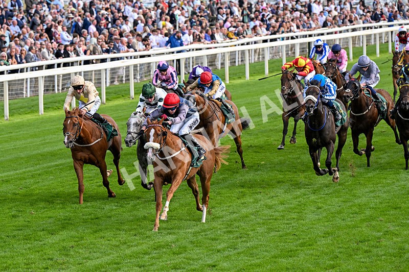 190826-Race 6-Miss Yechance-0713 - Race 6 16.45pm Irish Thoroughbred Marketing Handicap