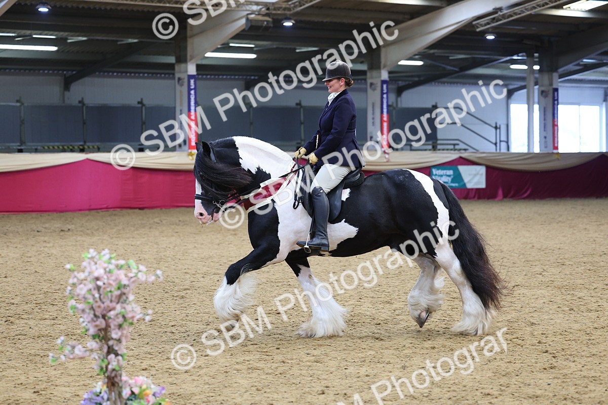 SBM_24235 - Class 905 - Supreme Final - Ridden Veteran