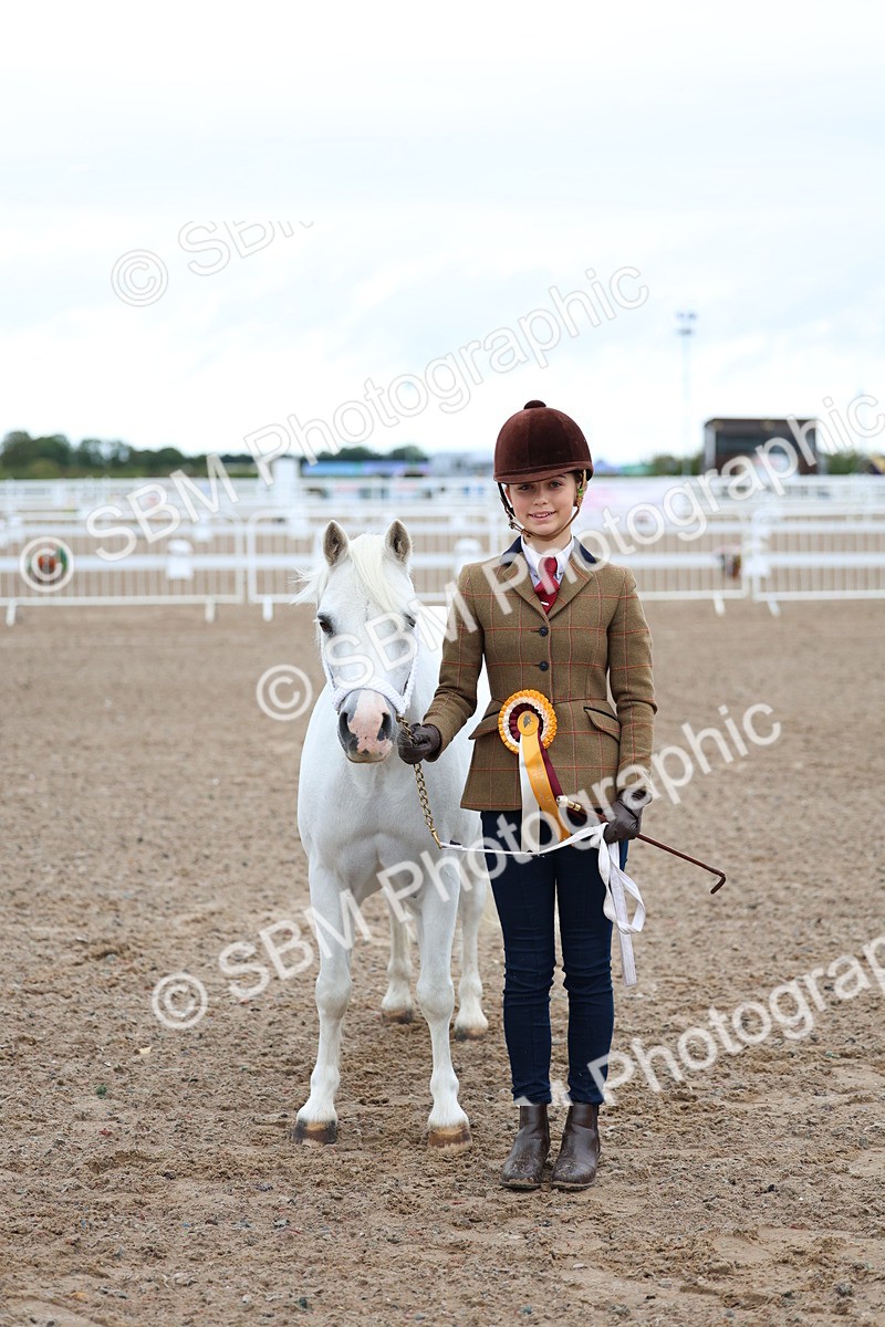SBM_00269 - Class 13 - Young Handler