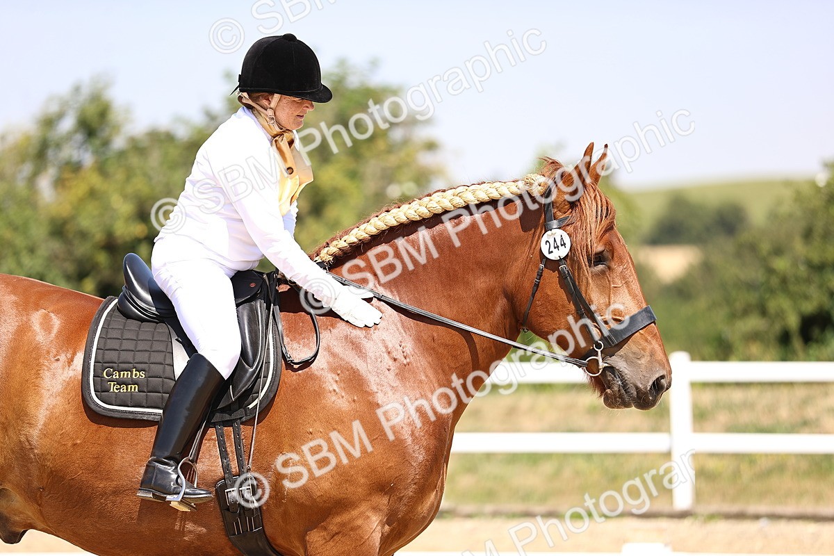 SBM_004142 - Intro 2