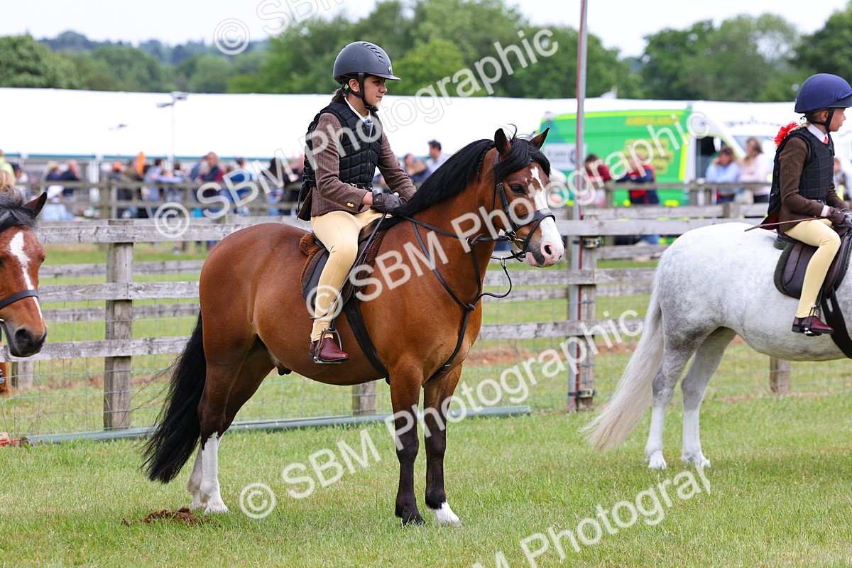 SBM_08652 - Class 42-43 - LIHS BSPS Heritage Working Sports Pony