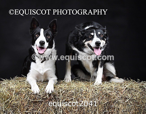 equiscot2041 - SKY & NELL