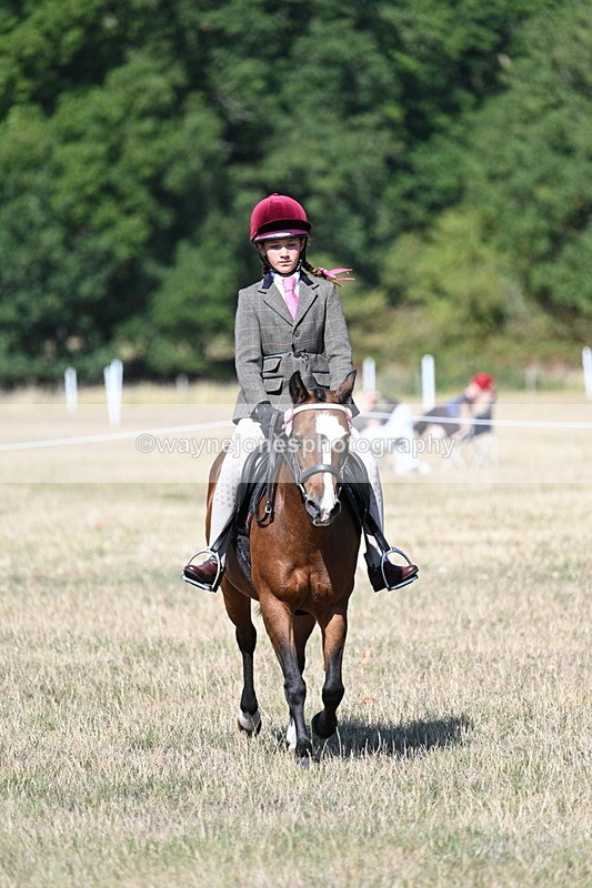 WJ7_4042 - Class 9 Mountain & Moorland Ridden